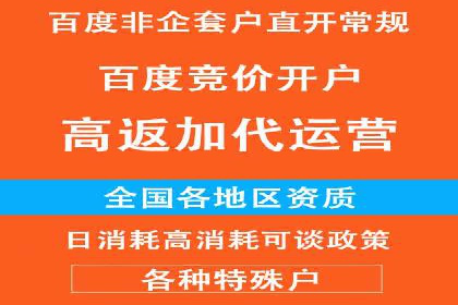 百度推广运营案例精选：揭秘成功之道